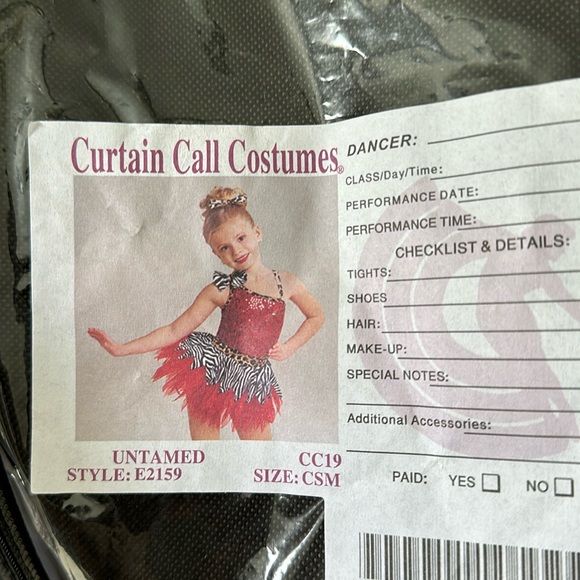 Curtain Call costume - Picture 4 of 5